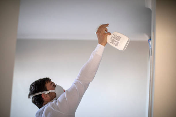 Best Kitchen Mold Remediation in Camp Point, IL
