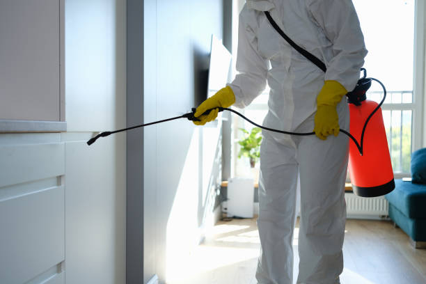 Reliable Camp Point, IL Mold Remediation Solutions