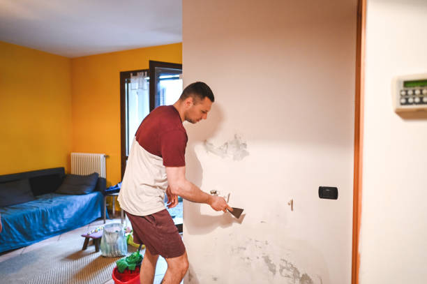 Best DIY Mold Remediation Support Services in Camp Point, IL
